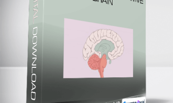 Rick Wilkes & Cathy VArtuli - Trauma and the Primitive Brain