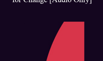 [Audio] IC07 Clinical Demonstration 03 - Installing Key Beliefs for Change - Robert Dilts