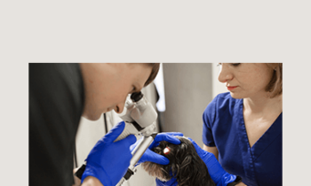 CPD - Ophthalmology Mega Bundle
