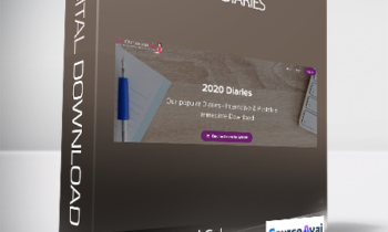 Get Organized Gal - 2020 Diaries