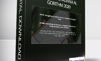Rachel Paul - Beat the Instagram Algorithm 2020