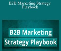 Andrei Zinkevich & Vladimir Blagojevic – B2B Marketing Strategy Playbook