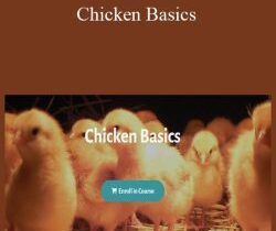 Deborah Niemann – Chicken Basics