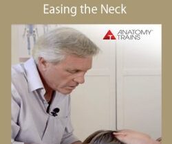 Tom Myers – Easing the Neck